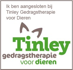 logotinley